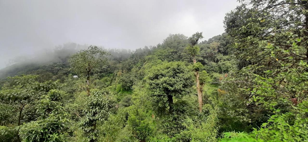 Spinson Home Stay Madikeri Extérieur photo